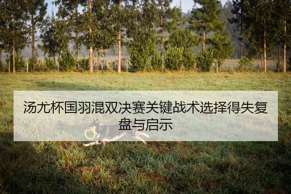 汤尤杯国羽混双决赛关键战术选择得失复盘与启示